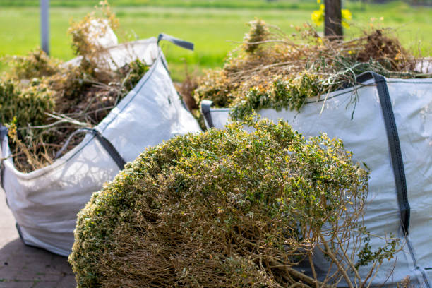 Best Basement Cleanout  in Murphysboro, IL